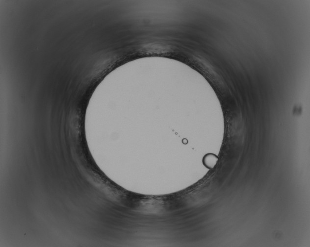 X0000089360362200707131619
