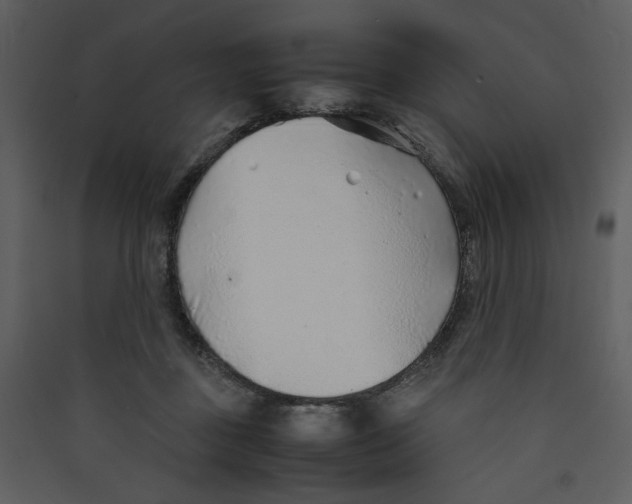 X0000089360363200707131619
