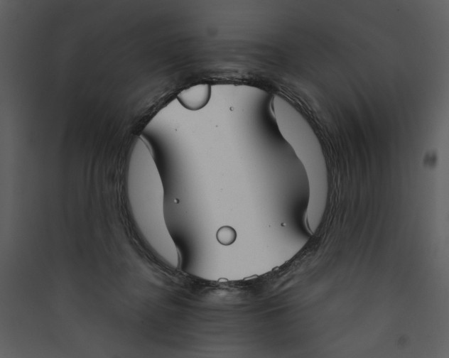X0000089360364200707131619