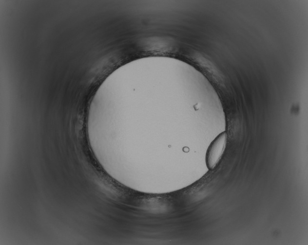 X0000089360365200707131619