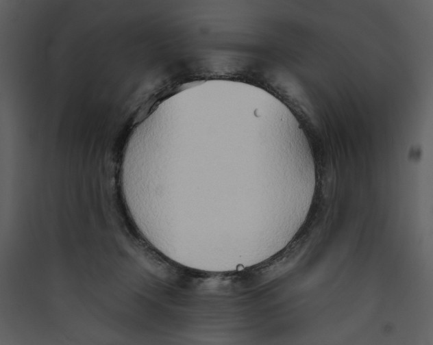 X0000089360366200707131619