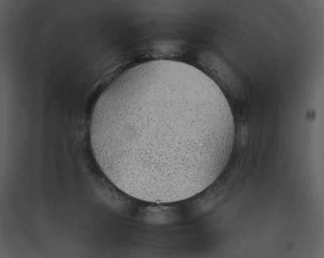 X0000089360367200707131619