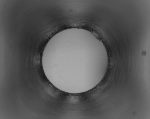 X0000089360368200707131619