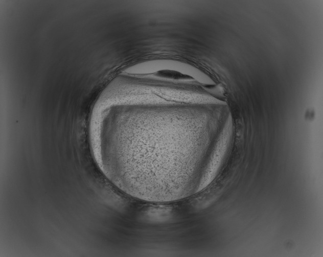 X0000089360369200707131619