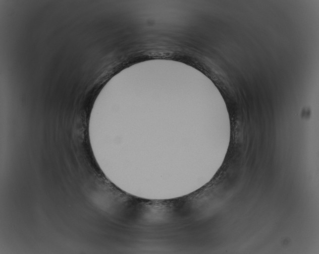 X0000089360370200707131620
