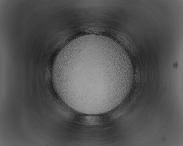 X0000089360371200707131620