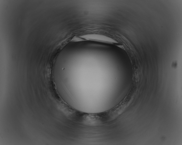 X0000089360372200707131620
