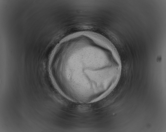 X0000089360373200707131620