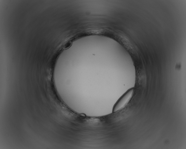 X0000089360374200707131620