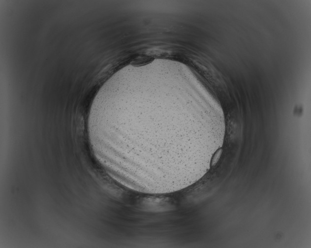 X0000089360375200707131620