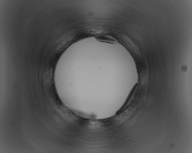 X0000089360376200707131620