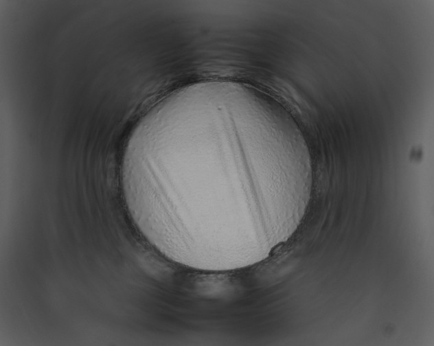 X0000089360377200707131620