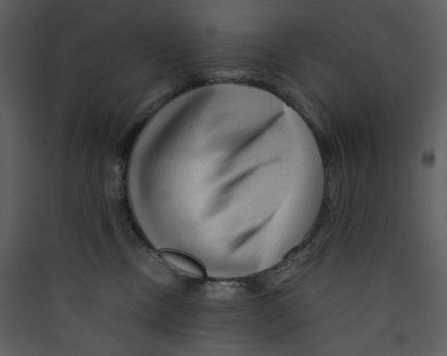 X0000089360378200707131620