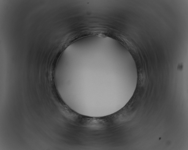 X0000089360379200707131620