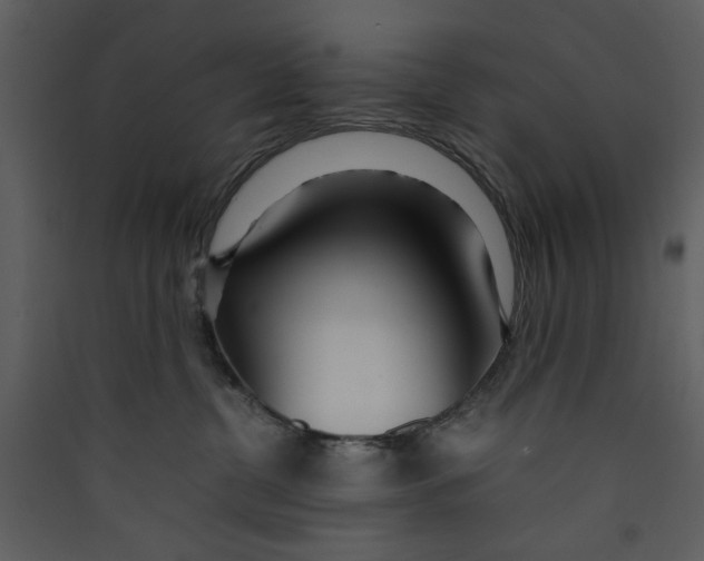 X0000089360380200707131620
