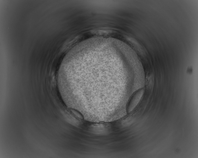 X0000089360381200707131620