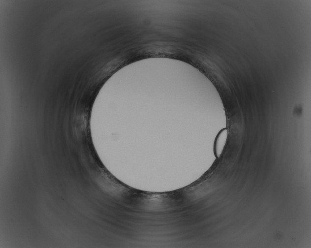 X0000089360382200707131620