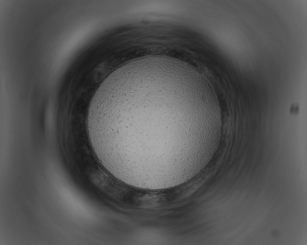 X0000089360383200707131620