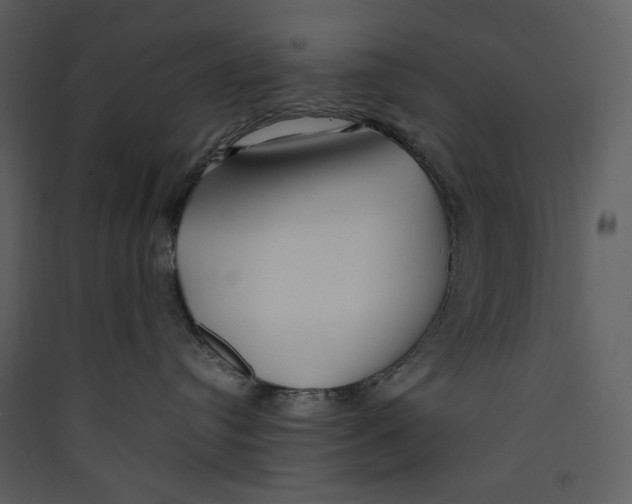 X0000089360384200707131620