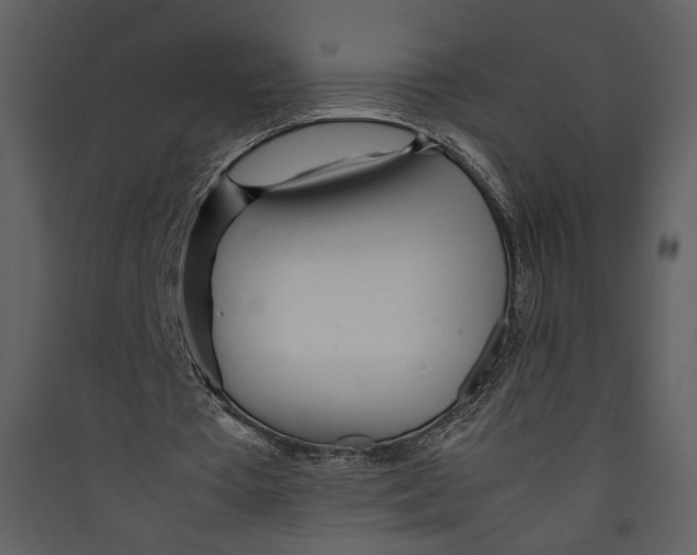 X0000089360385200707131619