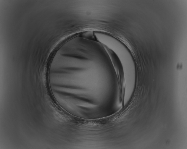 X0000089360387200707131619