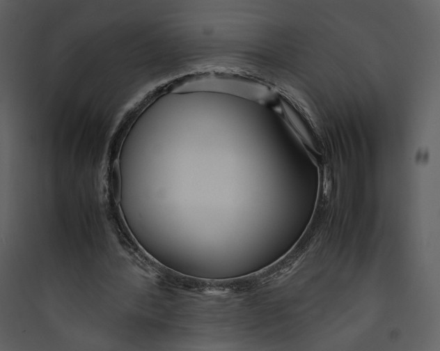X0000089360388200707131619