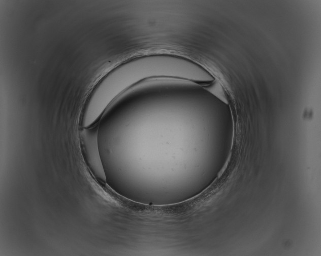X0000089360389200707131619