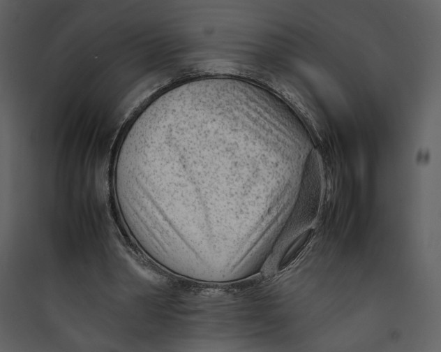 X0000089360390200707131619