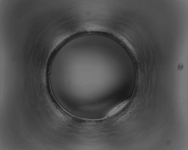 X0000089360391200707131619