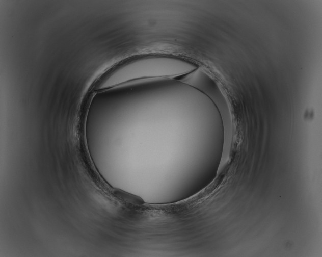 X0000089360392200707131619