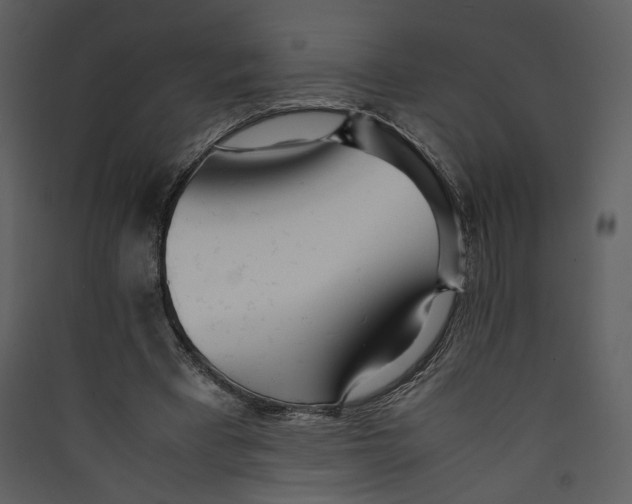 X0000089360393200707131619