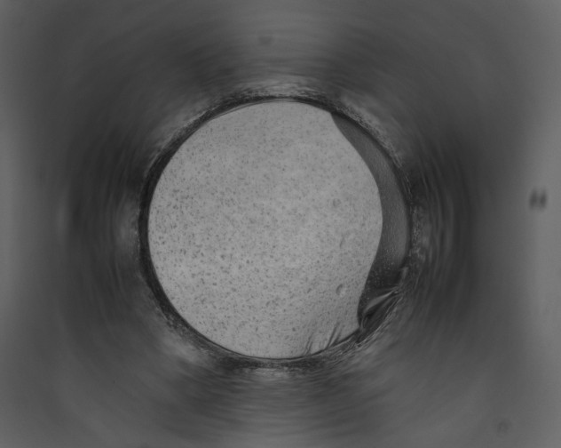 X0000089360394200707131619