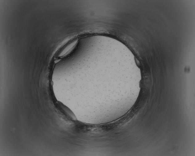 X0000089360395200707131619