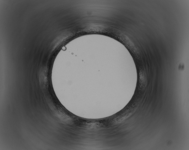 X0000089360396200707131619