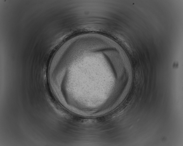 X0000089360398200707131619