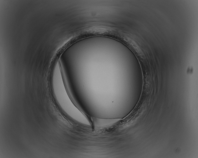 X0000089360399200707131619