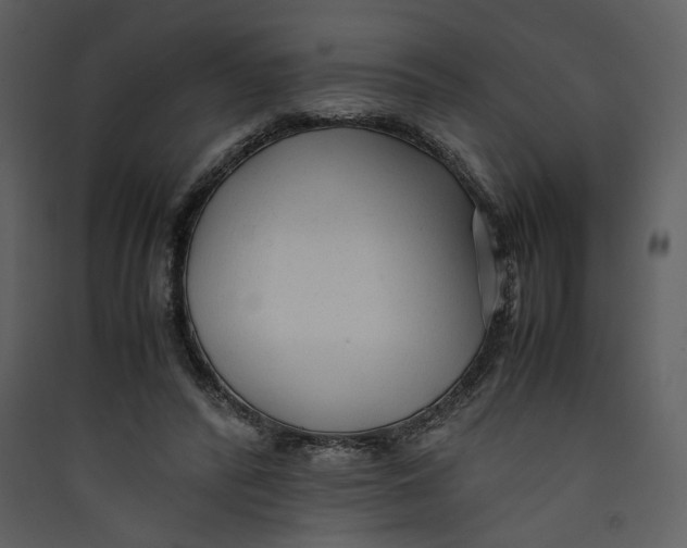 X0000089360400200707131619
