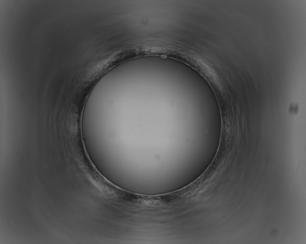 X0000089360401200707131619