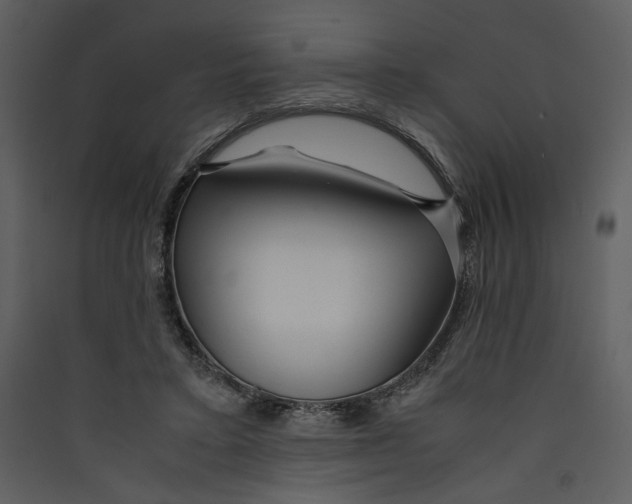X0000089360403200707131619