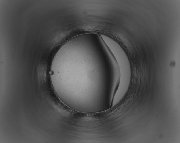 X0000089360404200707131619