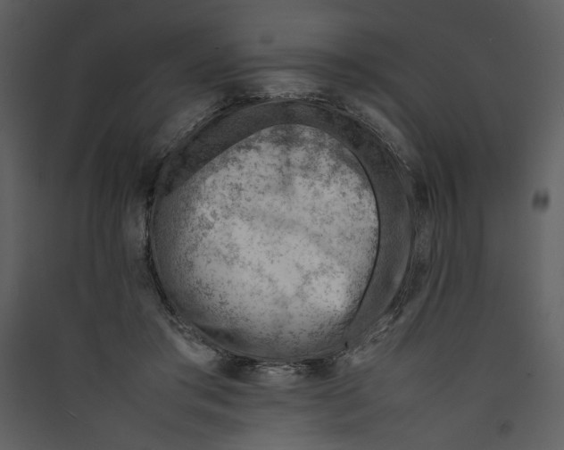 X0000089360405200707131619
