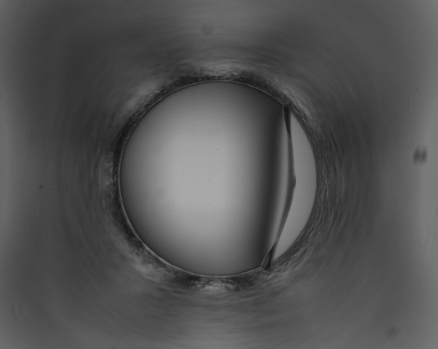 X0000089360407200707131619