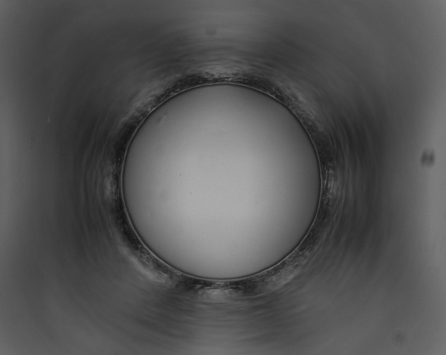 X0000089360408200707131619