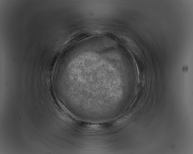 X0000089360409200707131619