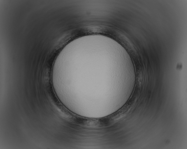 X0000089360410200707131619