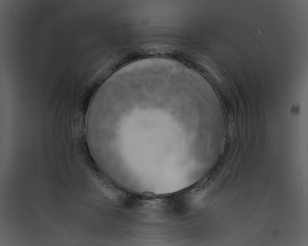 X0000089360411200707131619