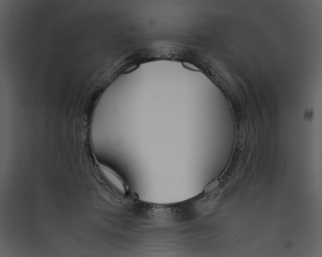 X0000089360413200707131619
