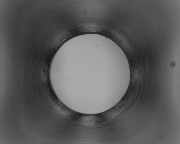 X0000089360414200707131619