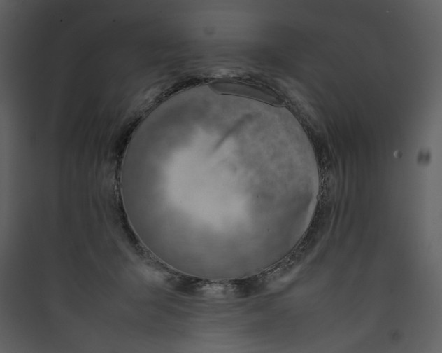 X0000089360415200707131619
