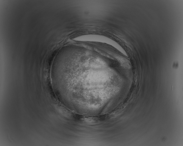 X0000089360417200707131619